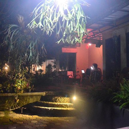Banyu Homestay バニュワンギ エクステリア 写真