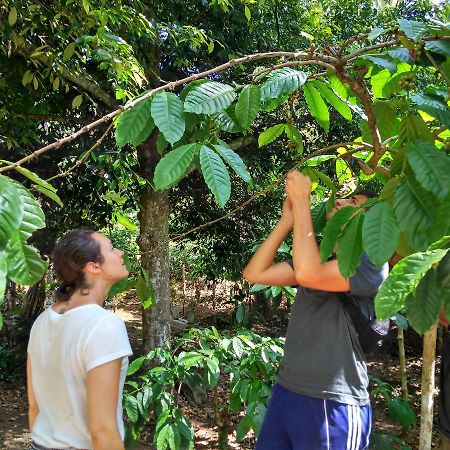Banyu Homestay バニュワンギ エクステリア 写真