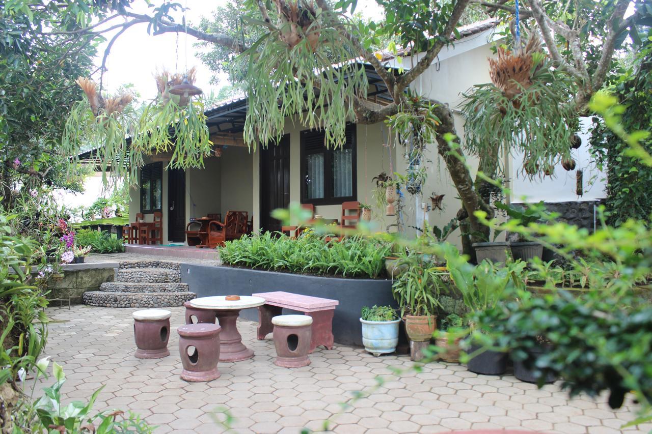 Banyu Homestay バニュワンギ エクステリア 写真