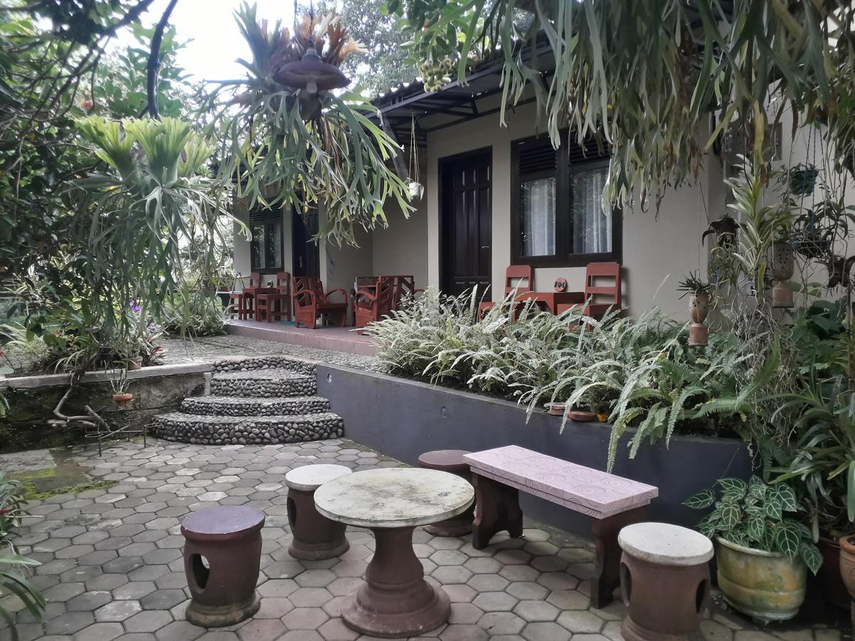 Banyu Homestay バニュワンギ エクステリア 写真