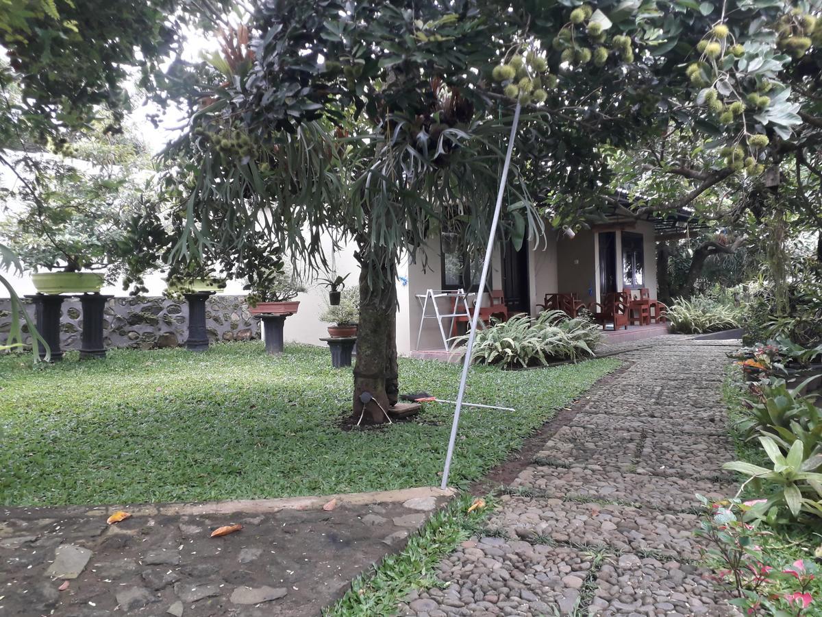Banyu Homestay バニュワンギ エクステリア 写真