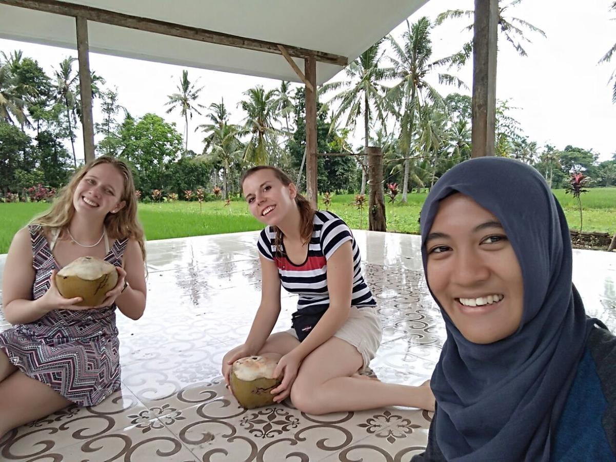 Banyu Homestay バニュワンギ エクステリア 写真