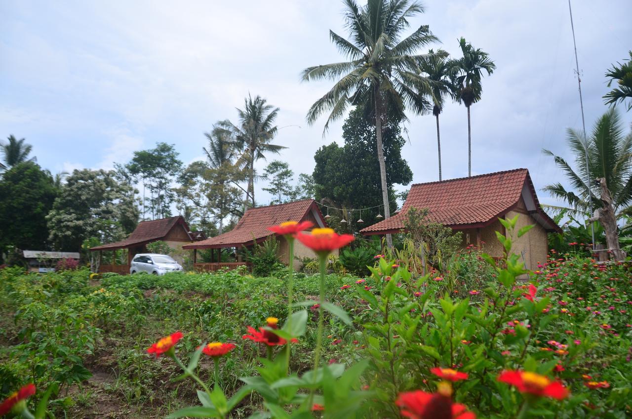 Banyu Homestay バニュワンギ エクステリア 写真