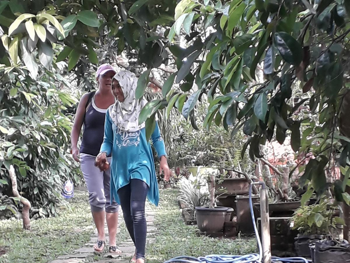 Banyu Homestay バニュワンギ エクステリア 写真