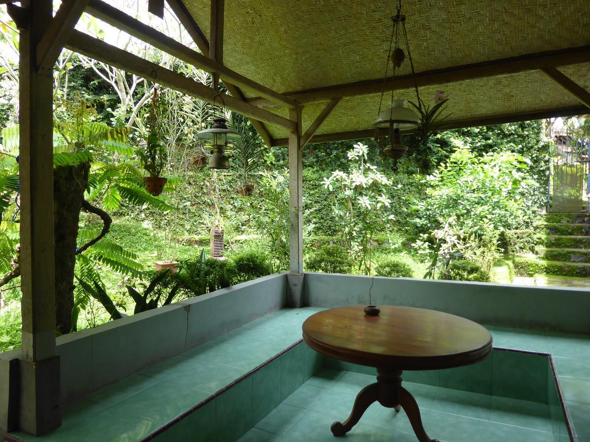Banyu Homestay バニュワンギ エクステリア 写真