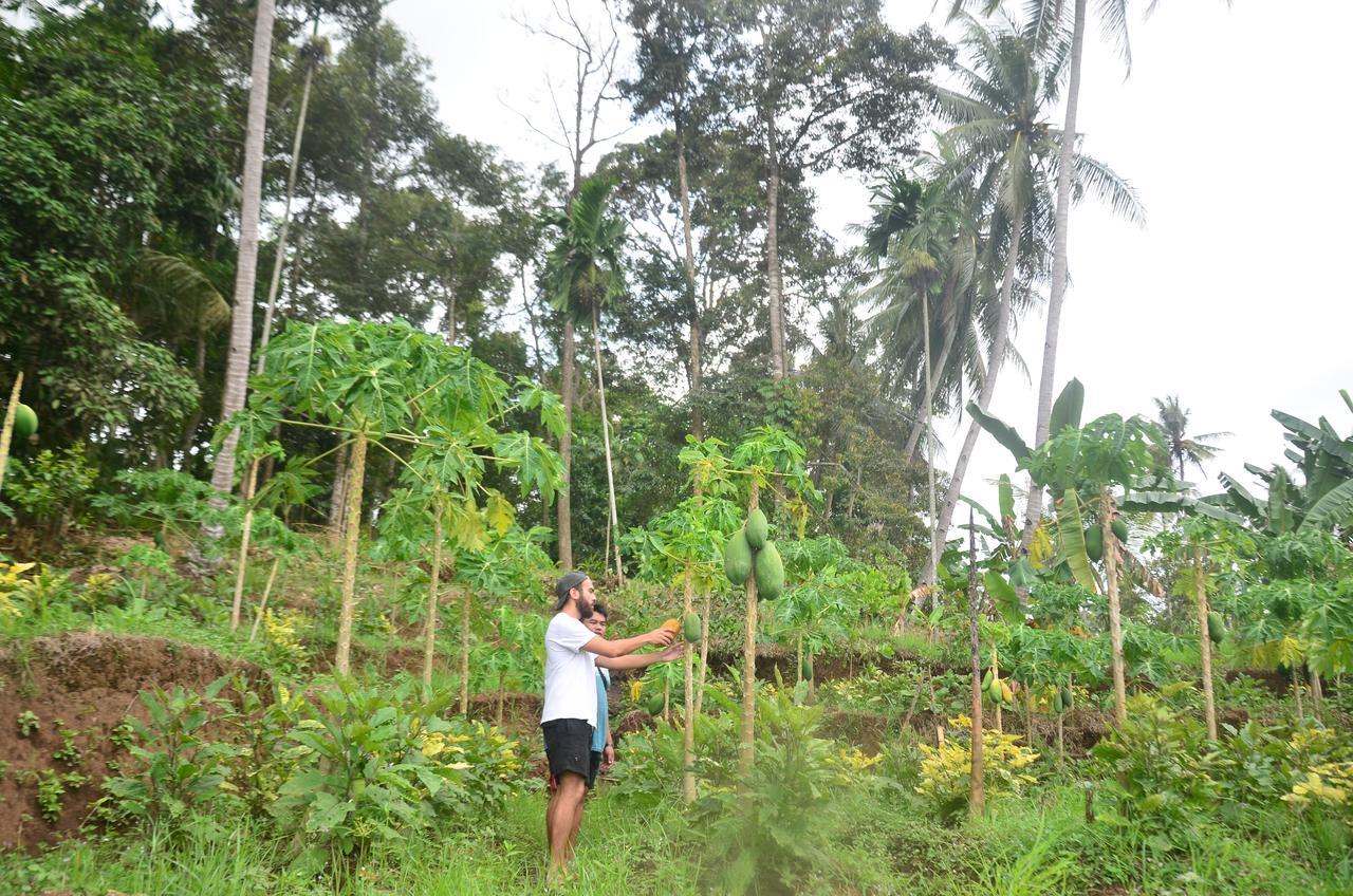 Banyu Homestay バニュワンギ エクステリア 写真