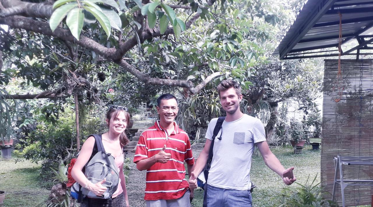 Banyu Homestay バニュワンギ エクステリア 写真