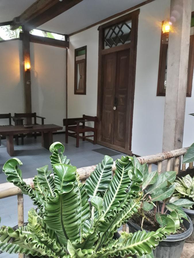 Banyu Homestay バニュワンギ エクステリア 写真