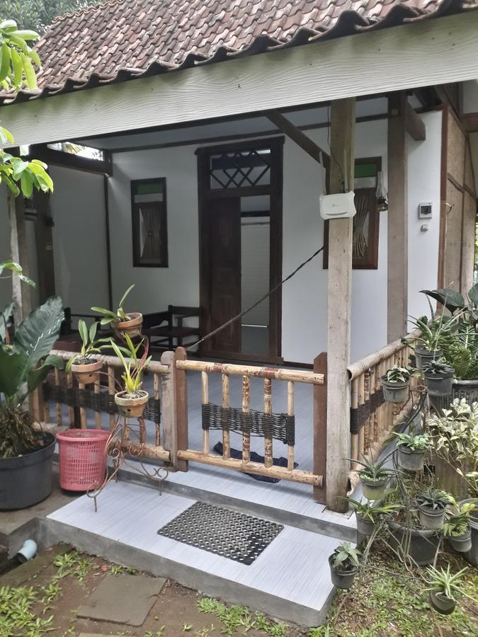 Banyu Homestay バニュワンギ エクステリア 写真