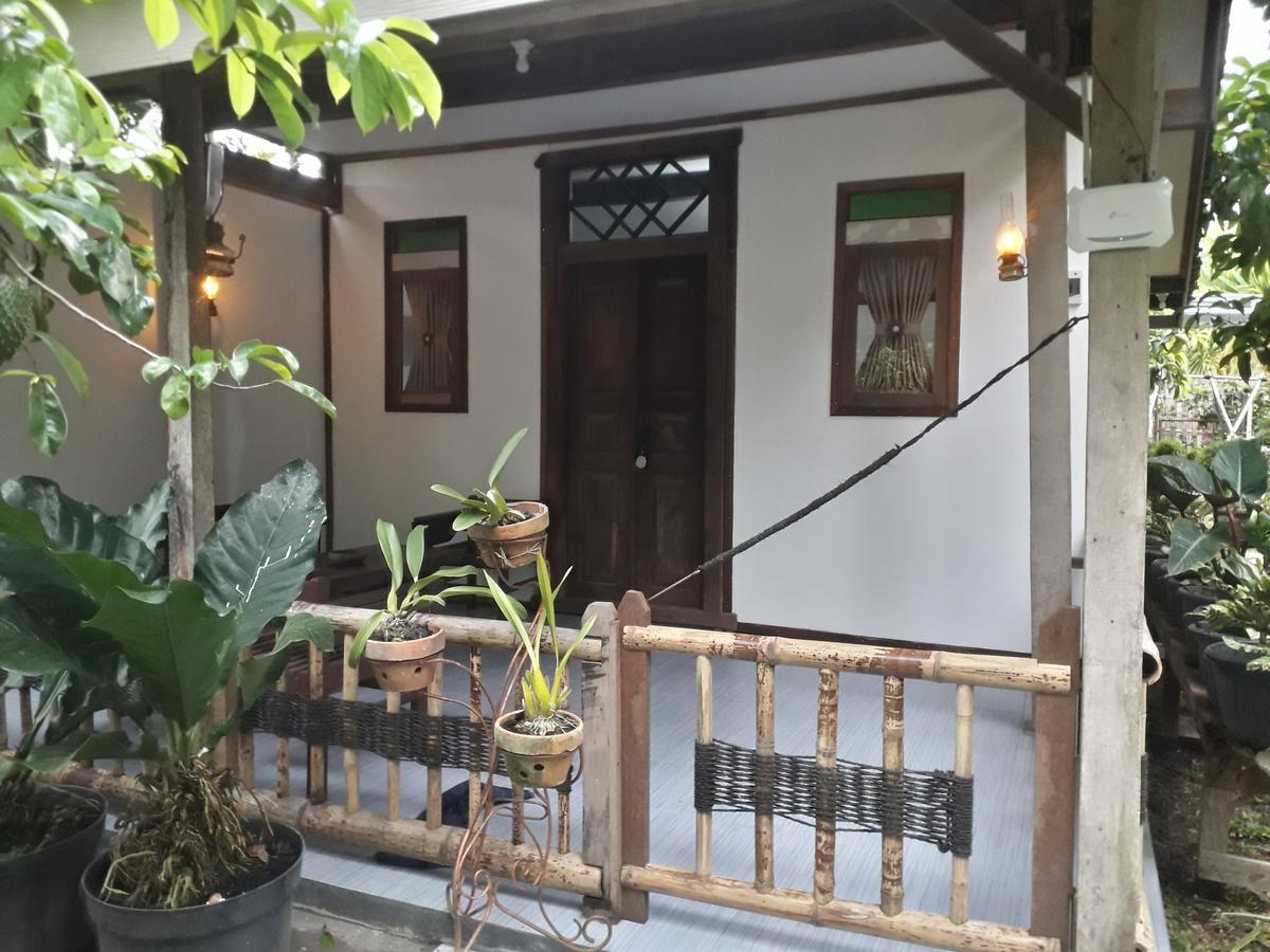 Banyu Homestay バニュワンギ エクステリア 写真