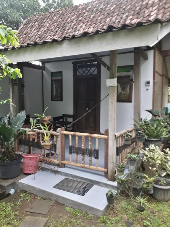 Banyu Homestay バニュワンギ エクステリア 写真